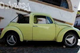 Khám phá 500 mẫu Volkswagen "con bọ" chỉ trong vòng 1 phút