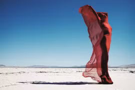 Chiêm ngưỡng biểu tượng của Rolls-Royce "bằng xương bằng thịt"