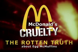Kinh hoàng quy trình lấy trứng dã man của McDonald 