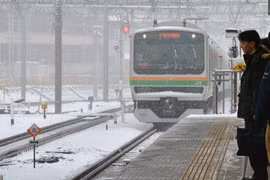 Bão tuyết đổ bộ Tokyo, 43 người bị thương