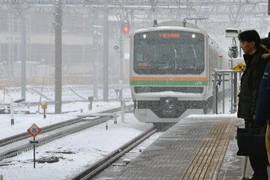 Bão tuyết đổ bộ Tokyo, 43 người bị thương