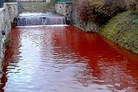 Sốc: Dòng sông ngập máu chỉ sau một đêm