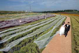 Cô dâu mặc bộ váy cưới dài kỉ lục 4,8 km 