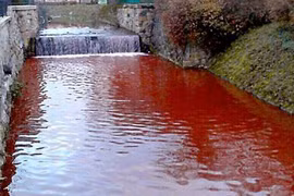 Sốc: Dòng sông ngập máu chỉ sau một đêm