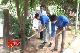 Ra quân xây dựng môi trường bệnh viện Đống Đa xanh, sạch, đẹp