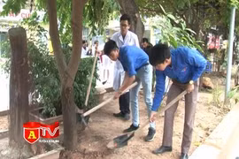 Ra quân xây dựng môi trường bệnh viện Đống Đa xanh, sạch, đẹp