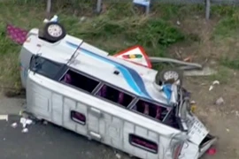 Brazil: Tai nạn xe bus thương tâm gây hàng loạt thương vong
