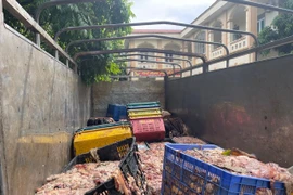 Chặn xe tải chở hơn 2 tấn mỡ, da bò ‘bẩn’