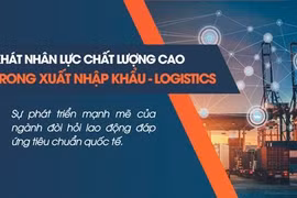 Xuất Nhập Khẩu Lê Ánh và lời giải cho bài toán khát nhân lực ngành xuất nhập khẩu – Logistics