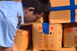 Hà Nội: Phát hiện hơn 4 tấn táo đỏ khô nhập ngoại có dấu hiệu vi phạm