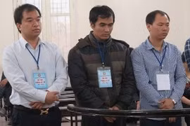 Tổng giám đốc vào tù vì phá hủy vườn cây