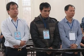 Tổng giám đốc vào tù vì phá hủy vườn cây