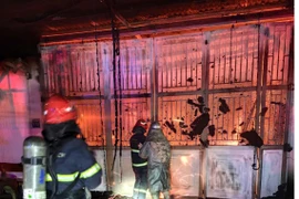 Thông tin ban đầu vụ cháy làm 2 người tử vong tại xã Đại Xuyên