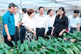 Những mô hình hay góp phần giữ vững an ninh, trật tự trong mọi tình huống