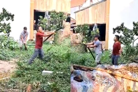 Khi mắm tôm và chất bẩn được sử dụng để...trút giận