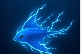 Tiny Fishing 2025 – Trò chơi trình duyệt giúp rèn luyện tư duy và phản xạ 