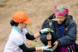 ABBANK hợp tác với SVF thúc đẩy ngành Công nghiệp văn hóa sáng tạo và phát triển bền vững