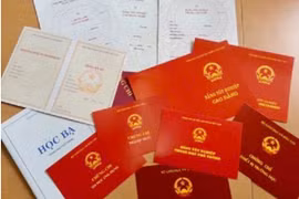 Hai giáo viên bị điều tra vì mua, sử dụng bằng giả 