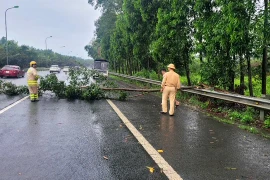 Cảnh sát giao thông xử lý nhiều điểm cây đổ sau mưa giông trên Đại lộ Thăng Long