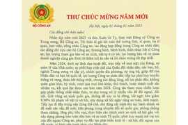 Bộ trưởng Lương Tam Quang gửi Thư chúc mừng năm mới 2025
