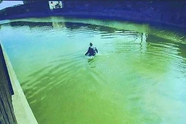 Bỏ xe, nhảy xuống sông để tránh cảnh sát giao thông