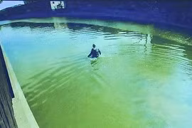 Bỏ xe, nhảy xuống sông để tránh cảnh sát giao thông