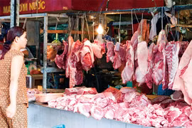 Bộ Nông nghiệp "cầu cứu" Thủ tướng giải cứu chăn nuôi lợn đang bên bờ phá sản