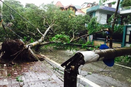 Bão Mirinae đổ bộ đất liền: Thái Bình, Nam Định, Hà Nam mất điện hoàn toàn