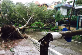 Bão Mirinae đổ bộ đất liền: Thái Bình, Nam Định, Hà Nam mất điện hoàn toàn