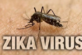 Bộ Y tế Thái Lan trấn an về tình hình lây lan virus Zika
