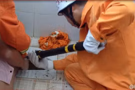 Trung Quốc: Kẹt tay trong bệ xí vì tìm điện thoại