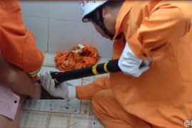 Trung Quốc: Kẹt tay trong bệ xí vì tìm điện thoại