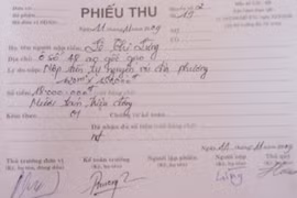 Trưởng thôn lập hội đồng giao đất trái phép