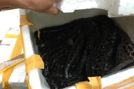 Trắng đêm bắt 2 vụ vận chuyển hàng lậu nguy hiểm