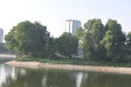 Liên tiếp phát hiện các vụ nam, nữ thanh niên treo cổ tự tử