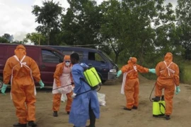 Cuộc chiến chống Ebola có tín hiệu mới đầy tích cực