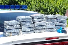 Nghiên cứu rùa biển, tình cờ nhặt được số cocaine 1,2 triệu USD 