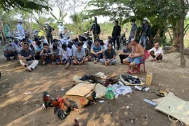 [Tin nhanh sáng 14-2-2021] Bắt giữ 89 người trong sới bạc, tạm giữ 600 triệu đồng