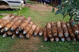 Phát hoảng vì đào thấy 101 quả bom chưa nổ trong sân nhà