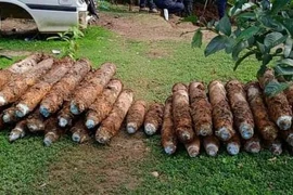 Phát hoảng vì đào thấy 101 quả bom chưa nổ trong sân nhà