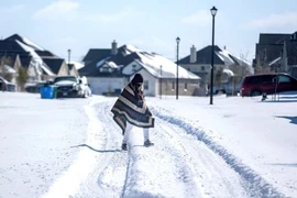 Thị trưởng Texas từ chức vì chỉ trích dân cầu cứu trong tuyết lạnh