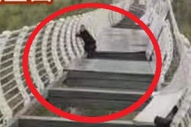 Giải cứu du khách mắc kẹt khi cầu đáy kính bỗng dưng vỡ vụn