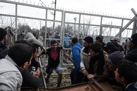 Người tị nạn đụng độ cảnh sát, phá hàng rào thép gai trên biên giới Macedonia