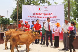 Prudential Việt Nam tặng “cơ nghiệp” cho 50 gia đình khó khăn ở Gia Lai