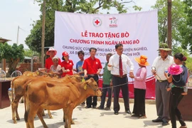 Prudential Việt Nam tặng “cơ nghiệp” cho 50 gia đình khó khăn ở Gia Lai