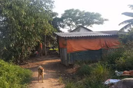 Con mang xe đi cắm, mẹ buồn bã tự thiêu