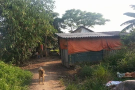 Con mang xe đi cắm, mẹ buồn bã tự thiêu