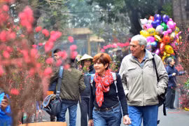 Rộn ràng sắc đào, chợ hoa Hàng Lược