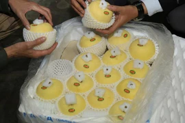 Trái cây ngoại nhập "đổ bộ" thị trường Hà Nội