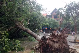 Bão số 1 gây thiệt hại nhiều tỉnh ở khu vực Bắc bộ 